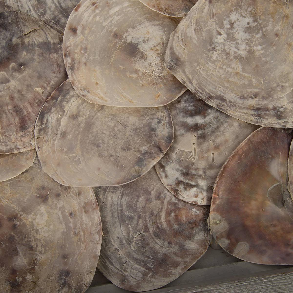 Consolle a conchiglia con vetro