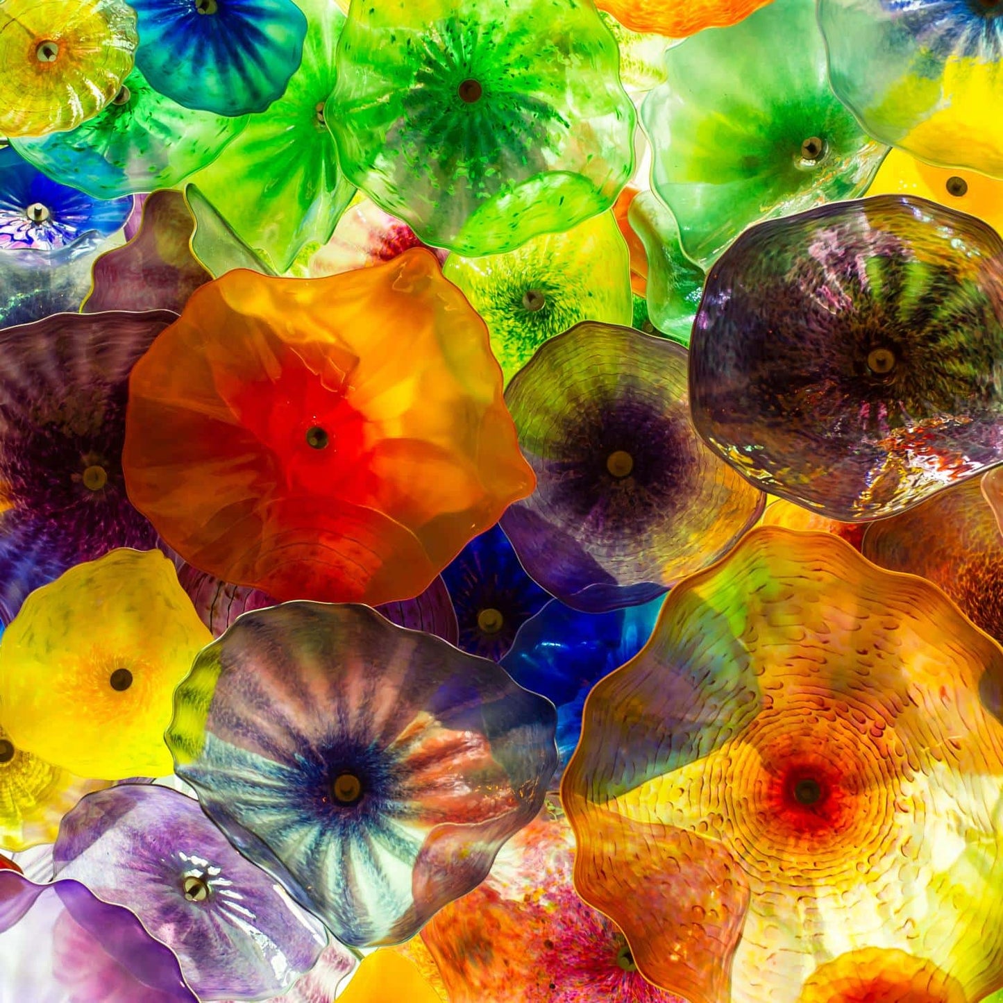 Vita libera e vibrante