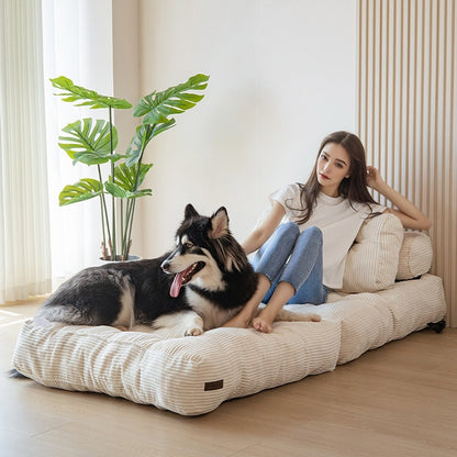 Divano letto pieghevole in velluto a coste, singolo