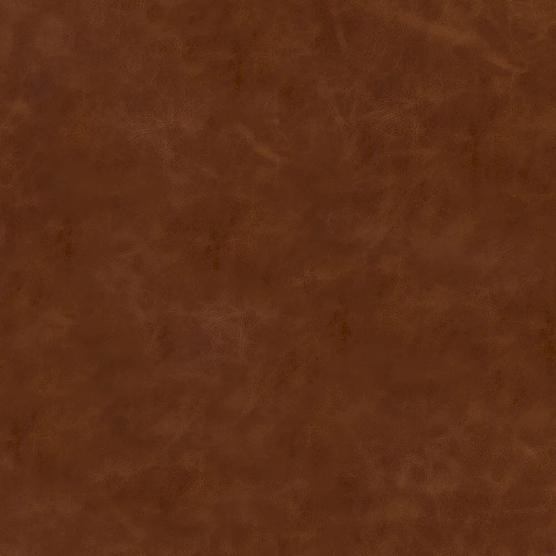 Sedie da pranzo per interni da 18 pollici, rivestimento in pelle morbida, set da 2