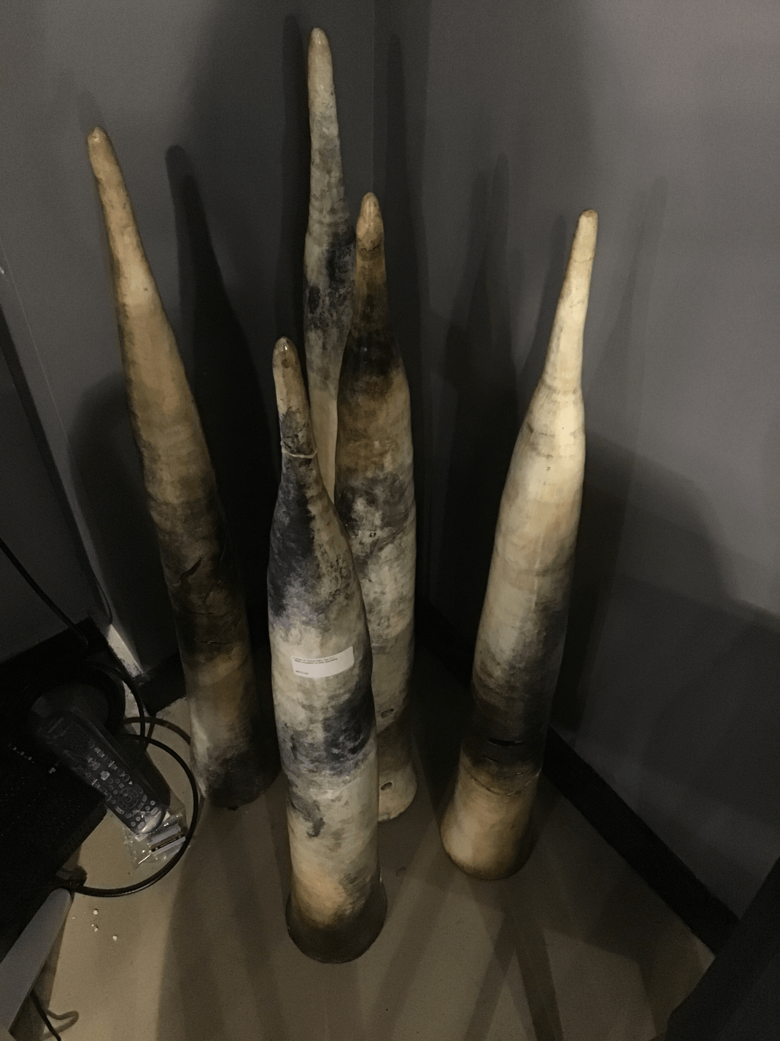 Selected Variant Image