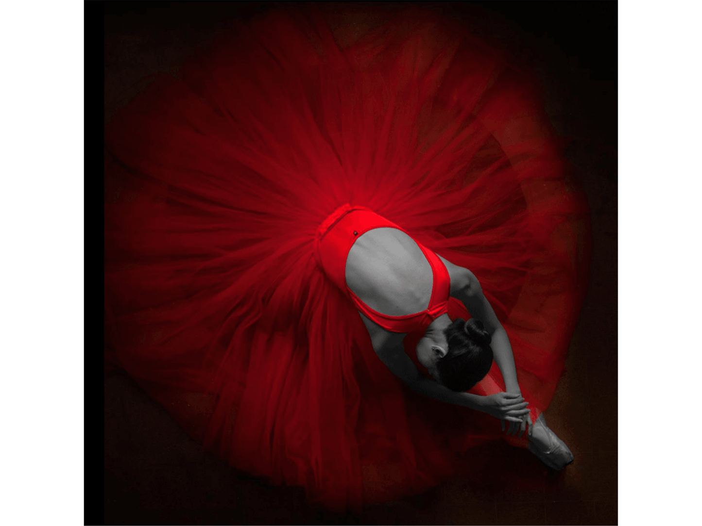 Dipinto di ballerina