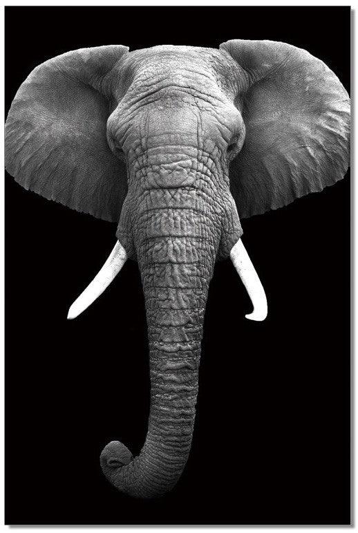 Elefante