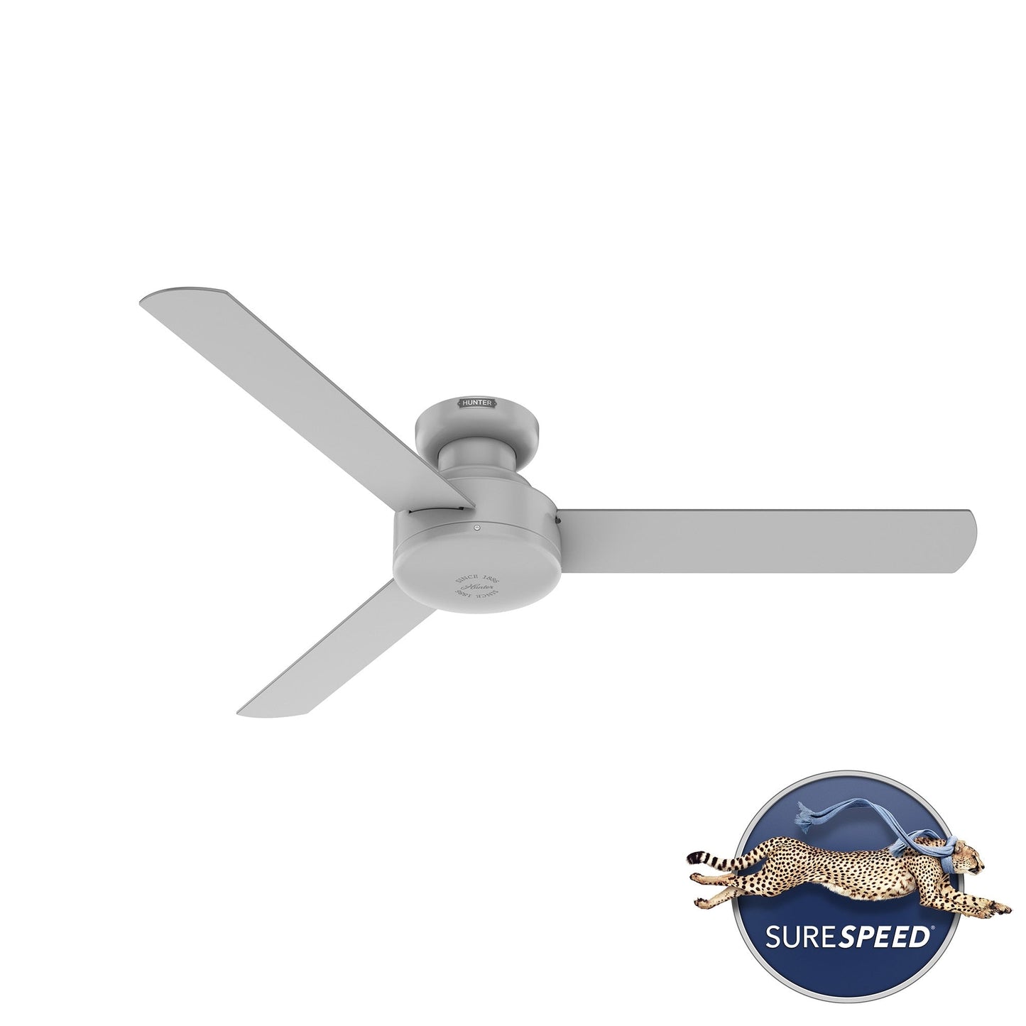 Gazebo pergolato in acciaio da esterno 10' x 13', tettoia per patio con fori di drenaggio per giardino, piscina e cortile