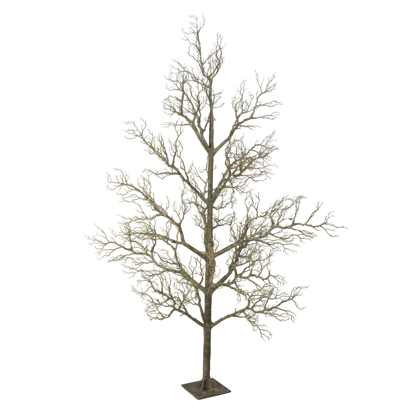 96 Ramoscello di legno morto