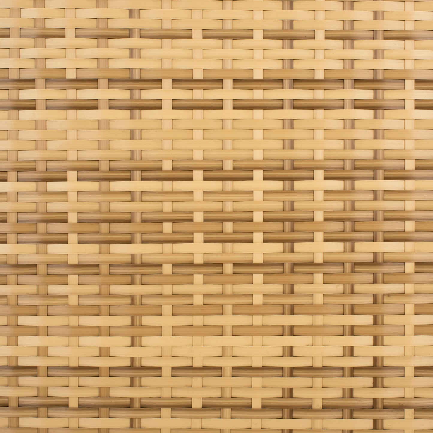 SAFAVIEH Set di lettini prendisole da esterno Blaguna da 3 pezzi - 83Lx20Px24A