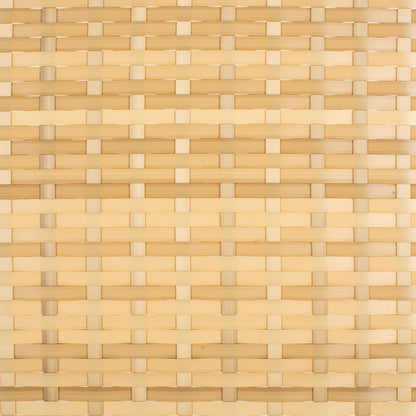 Divano letto da esterno in vimini Taniyah SAFAVIEH con cuscino e cuscini - 53L x 28P x 62A