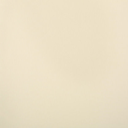 Set di cuscini da esterno Salem per chaise longue - Solo cuscini (set di 2) di Christopher Knight Home - 79,25 L x 27,50 W x 1,50 H