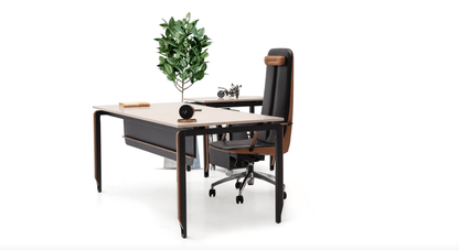 COLLEZIONE ZOOM DESK