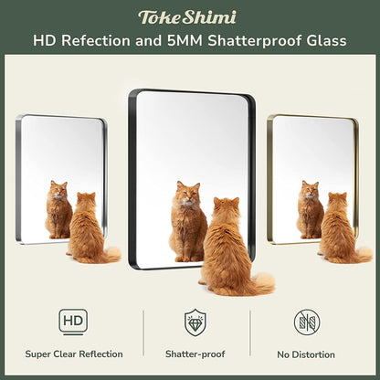 Specchio da parete per bagno moderno con struttura in metallo TokeShimi