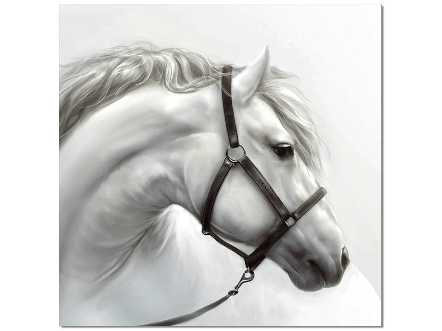 Cavallo bianco
