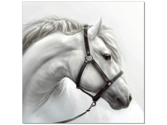 Cavallo bianco