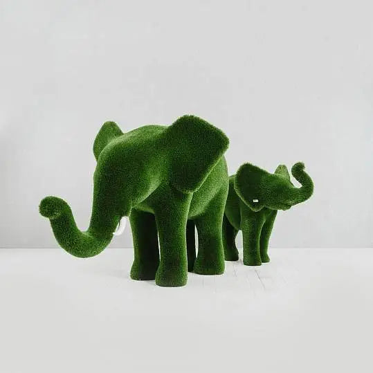 Collezione di topiaria di erba elefante