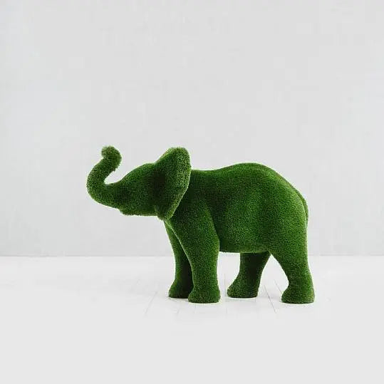 Collezione di topiaria di erba elefante