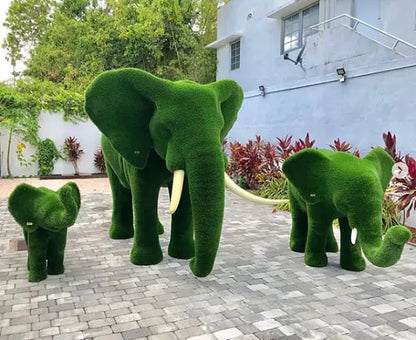 Collezione di topiaria di erba elefante